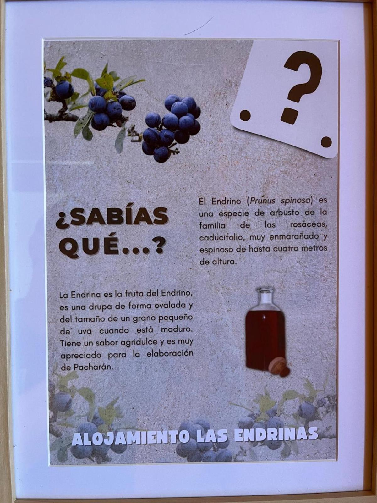 Alojamiento Las Endrinas Ezcaray Esterno foto